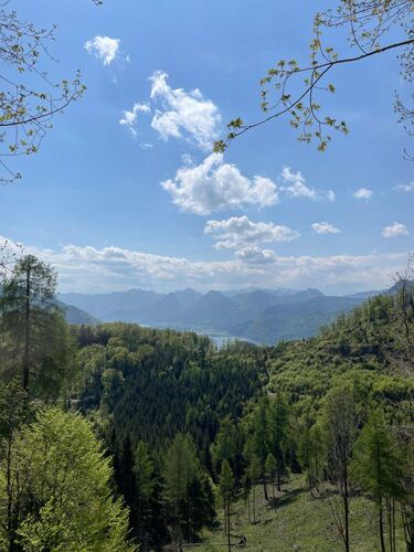 Tips Gipfelstürmer - Marlene - Marienköpfl (1074m)