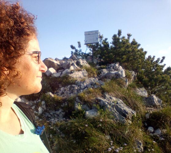 Tips Gipfelstürmer - Angela - Jacksonstein (1417m)