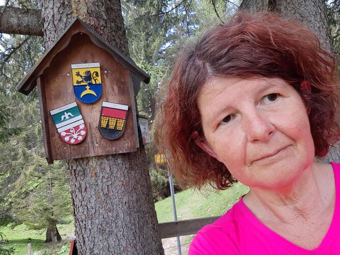 Tips Gipfelstürmer - Ingrid - Pyhrgasgatterl (1308m)