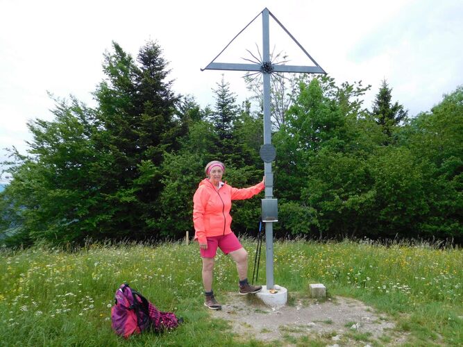 Tips Gipfelstürmer - Rosa - Freidhofberg 958 m