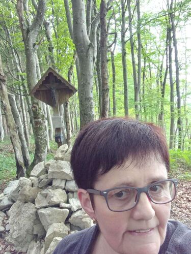 Tips Gipfelstürmer - Maria - Kruckenbrettl (1020m)