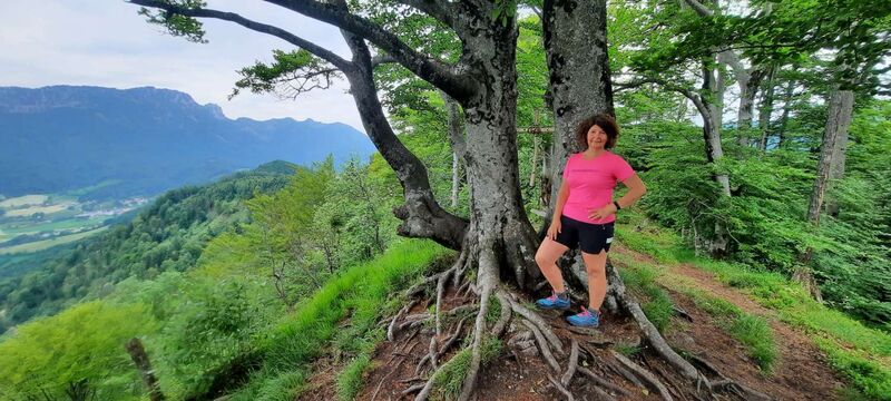 Tips Gipfelstürmer - Ingrid - Kienberg (801m)