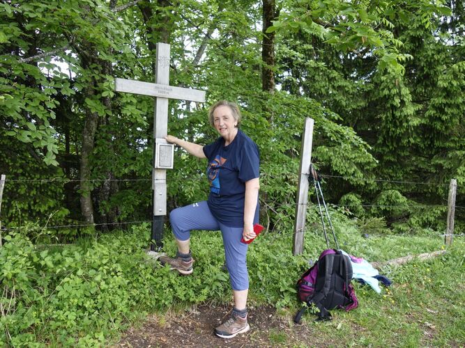 Tips Gipfelstürmer - Rosa - Herndleck (1026m)