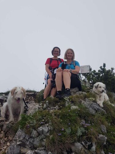 Tips Gipfelstürmer - Sandra - Jacksonstein (1417m)