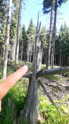 Tips Gipfelstürmer - Marika - Hohe Luft (917m)