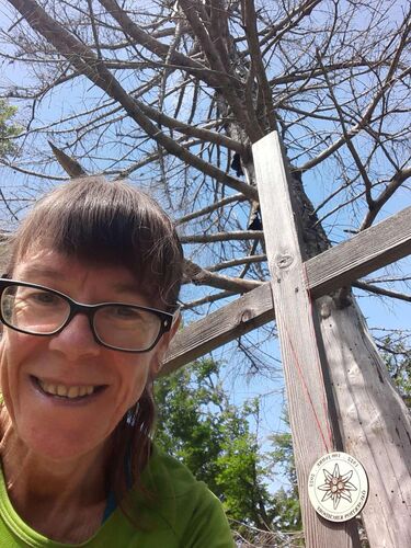 Tips Gipfelstürmer - Margit - Scharnsteiner Spitze (1133m)