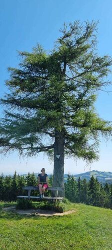 Tips Gipfelstürmer - Sandra - Grillenparz (842m)