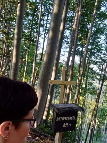 Tips Gipfelstürmer - Maria - Denverkogel (Klammberg) (825)