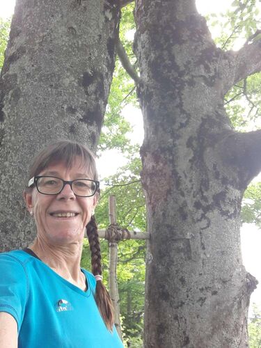 Tips Gipfelstürmer - Margit - Kienberg (801m)