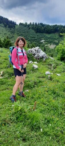 Tips Gipfelstürmer - Ingrid - Spitzenbergriedel (1285m)