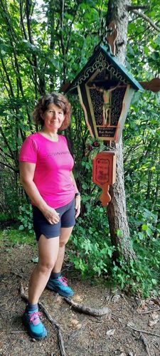 Tips Gipfelstürmer - Ingrid - Pröller (729m)