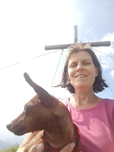 Tips Gipfelstürmer - Marika - Hoher Kalmberg (1833m)