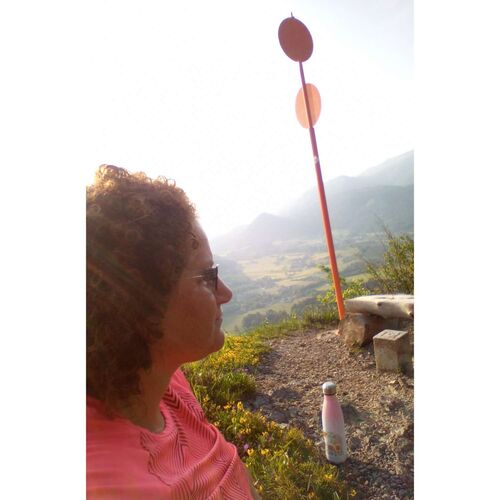 Tips Gipfelstürmer - Angela - Gumsenkogel (822m)