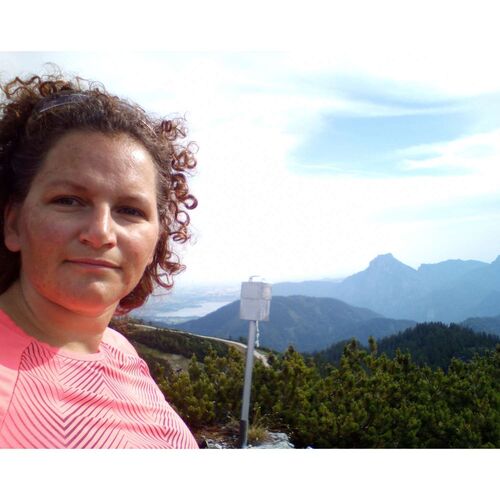 Tips Gipfelstürmer - Angela - Langwandkogel (1564m)