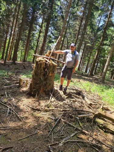 Tips Gipfelstürmer - Manfred - Schimplgupf (838m)