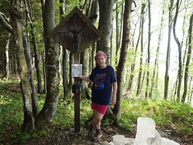 Tips Gipfelstürmer - Rosa - Kruckenbrettl (1020m)