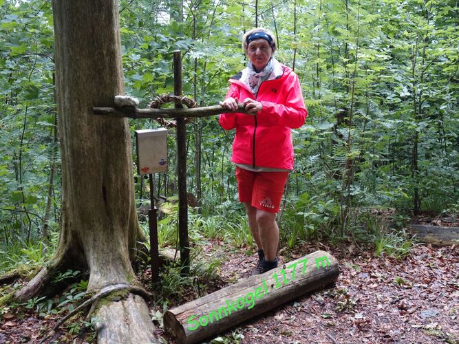 Tips Gipfelstürmer - Rosa - Sonnkogel (1177m)