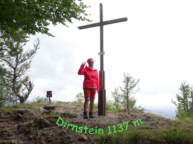 Tips Gipfelstürmer - Rosa - Hohe Dirn (1134m)