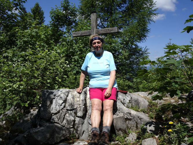 Tips Gipfelstürmer - Rosa - Hochkogel (1157m)