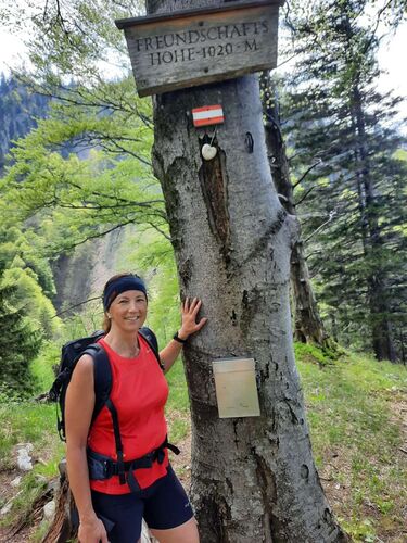 Tips Gipfelstürmer - Christine - Freundschaftshöhe (1020m)