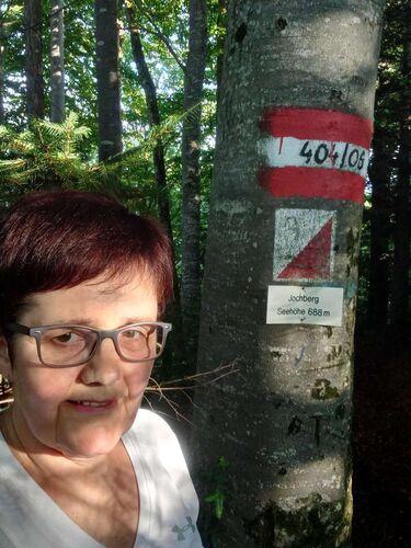 Tips Gipfelstürmer - Maria - Jochberg (688m)