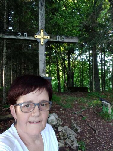 Tips Gipfelstürmer - Maria - Schönleitner-Höhe (699m)