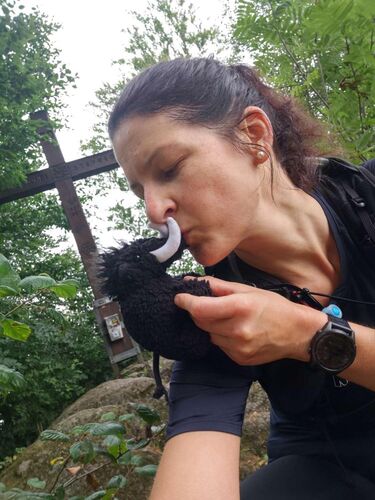 Tips Gipfelstürmer - Julia - Pfenningberg (616m)