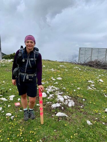 Tips Gipfelstürmer - Pauline - Elfernock (2031m)