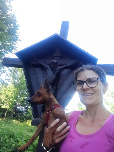 Tips Gipfelstürmer - Marika - Hochplettspitz (1134m)