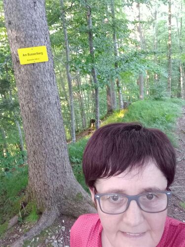 Tips Gipfelstürmer - Maria - Am Busserlberg (549m)