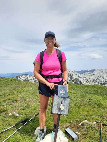 Tips Gipfelstürmer - Christine - Wildgößl (2062m)