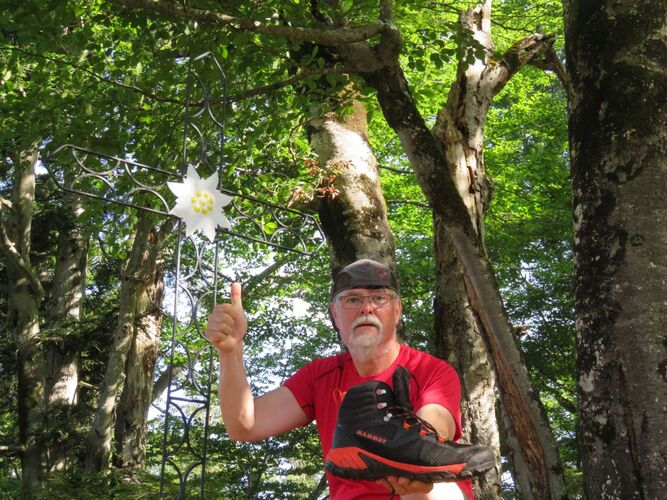 Tips Gipfelstürmer - Helmut - Schneiderberg im Almtal (1162 m)
