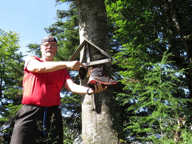 Tips Gipfelstürmer - Helmut - Schneiderberg (1324m)