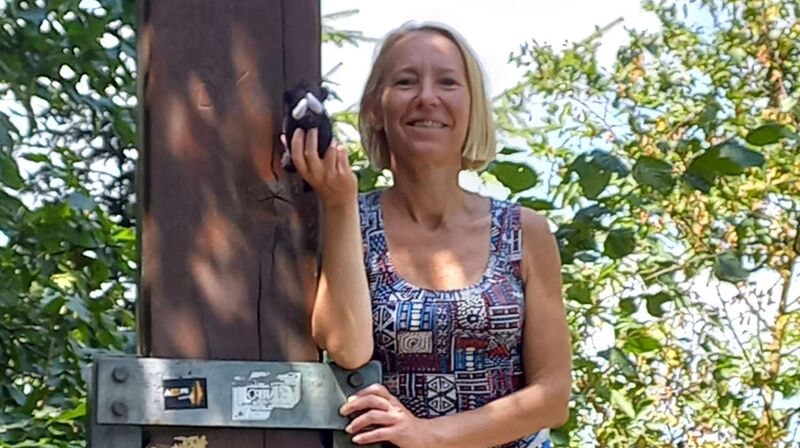 Tips Gipfelstürmer - Petra - Pfenningberg (616m)