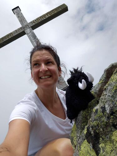 Tips Gipfelstürmer - Julia - Seekarspitze (2350m)