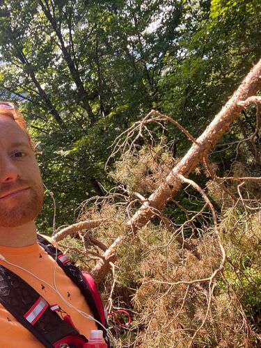 Tips Gipfelstürmer - Julian - Falkenmauer (628m)