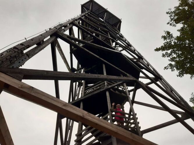 Tips Gipfelstürmer - Rosa - Damberg (811m)