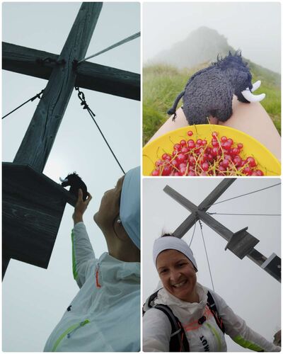 Tips Gipfelstürmer - Julia - Gamskarlspitze (2411)