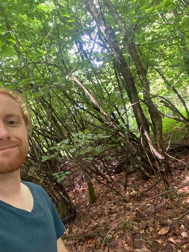 Tips Gipfelstürmer - Julian - Kogel (502m)