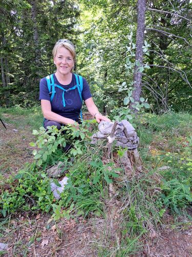 Tips Gipfelstürmer - Margareta - Bauernkogel (840m)