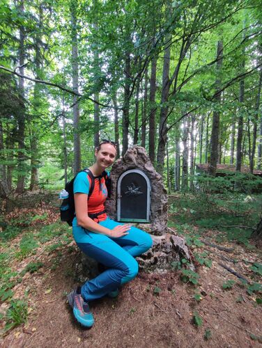 Tips Gipfelstürmer - Chantal - Hamberg (854m)