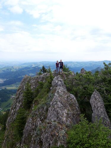 Tips Gipfelstürmer - Vanessa - Pfaffenmauer (1218m)