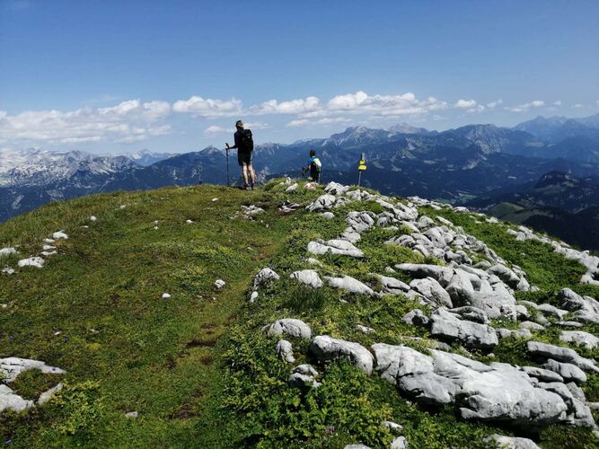 Tips Gipfelstürmer - Vanessa - Multereck (2176m)