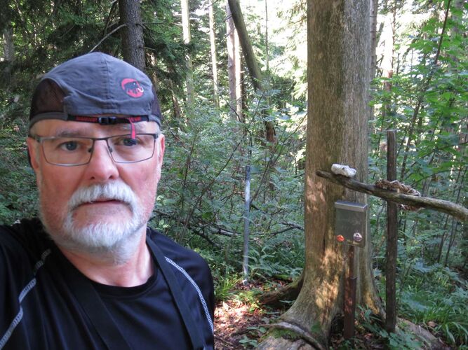 Tips Gipfelstürmer - Helmut  - Sonnkogel (1177m)