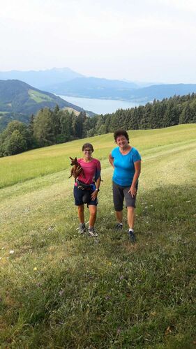 Tips Gipfelstürmer - Marika - Gahberg (864m)