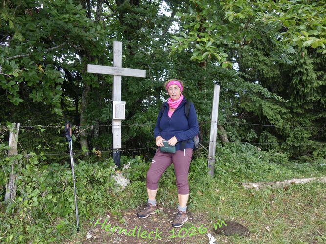 Tips Gipfelstürmer - Rosa - Herndleck (1026m)