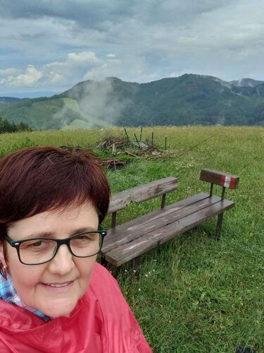 Tips Gipfelstürmer - Maria - Fuchsenkogel (770m)