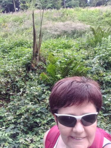 Tips Gipfelstürmer - Maria - Willeitenberg (837m)