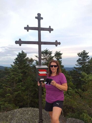 Tips Gipfelstürmer - Adelheid - Herzogreitherberg (811m)