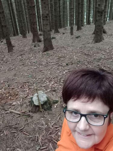 Tips Gipfelstürmer - Maria - Größtenberg (914m)